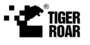 Icon 5