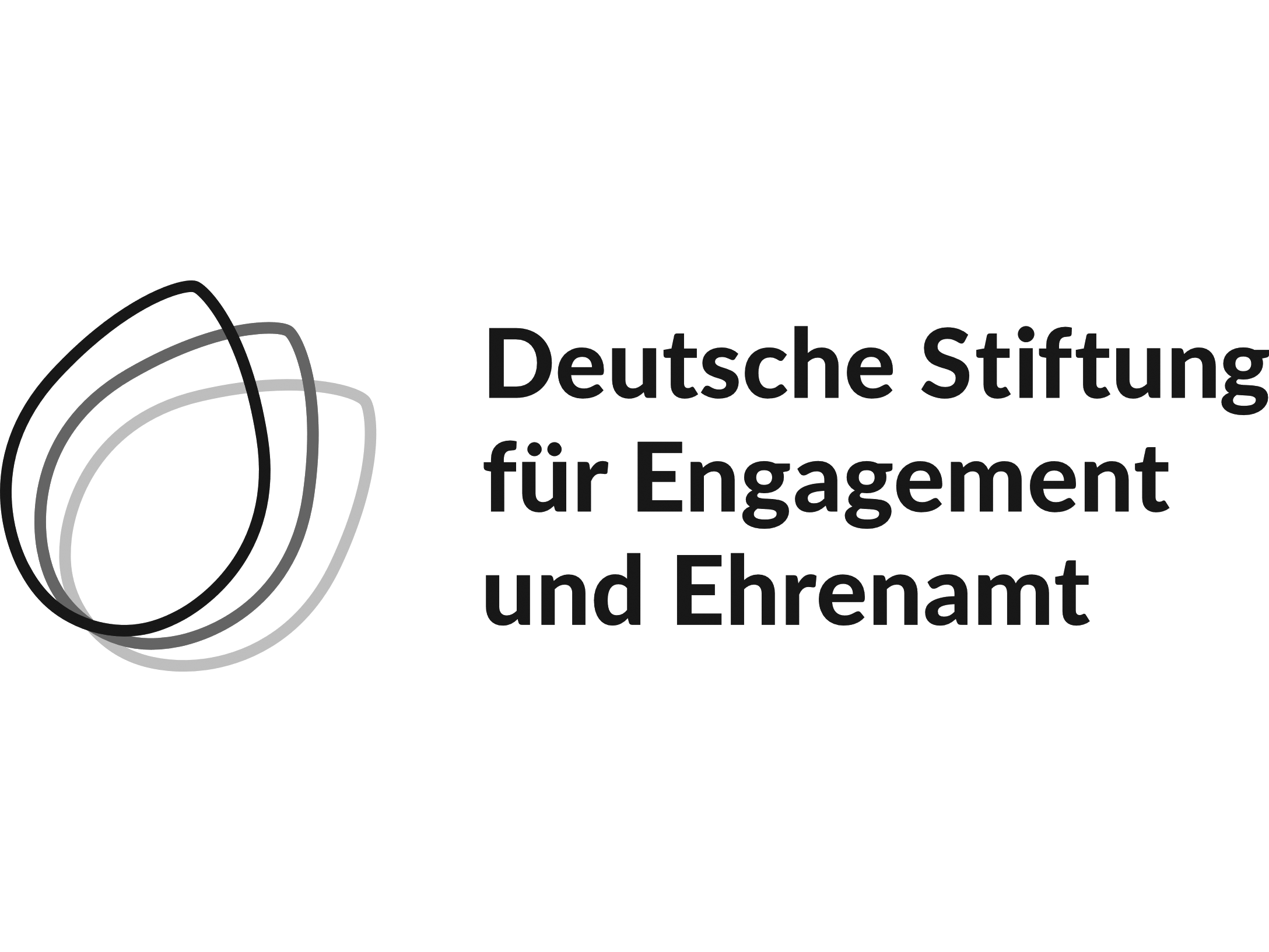 Logo der Deutschen Stiftung für Engagment und Ehrenamt