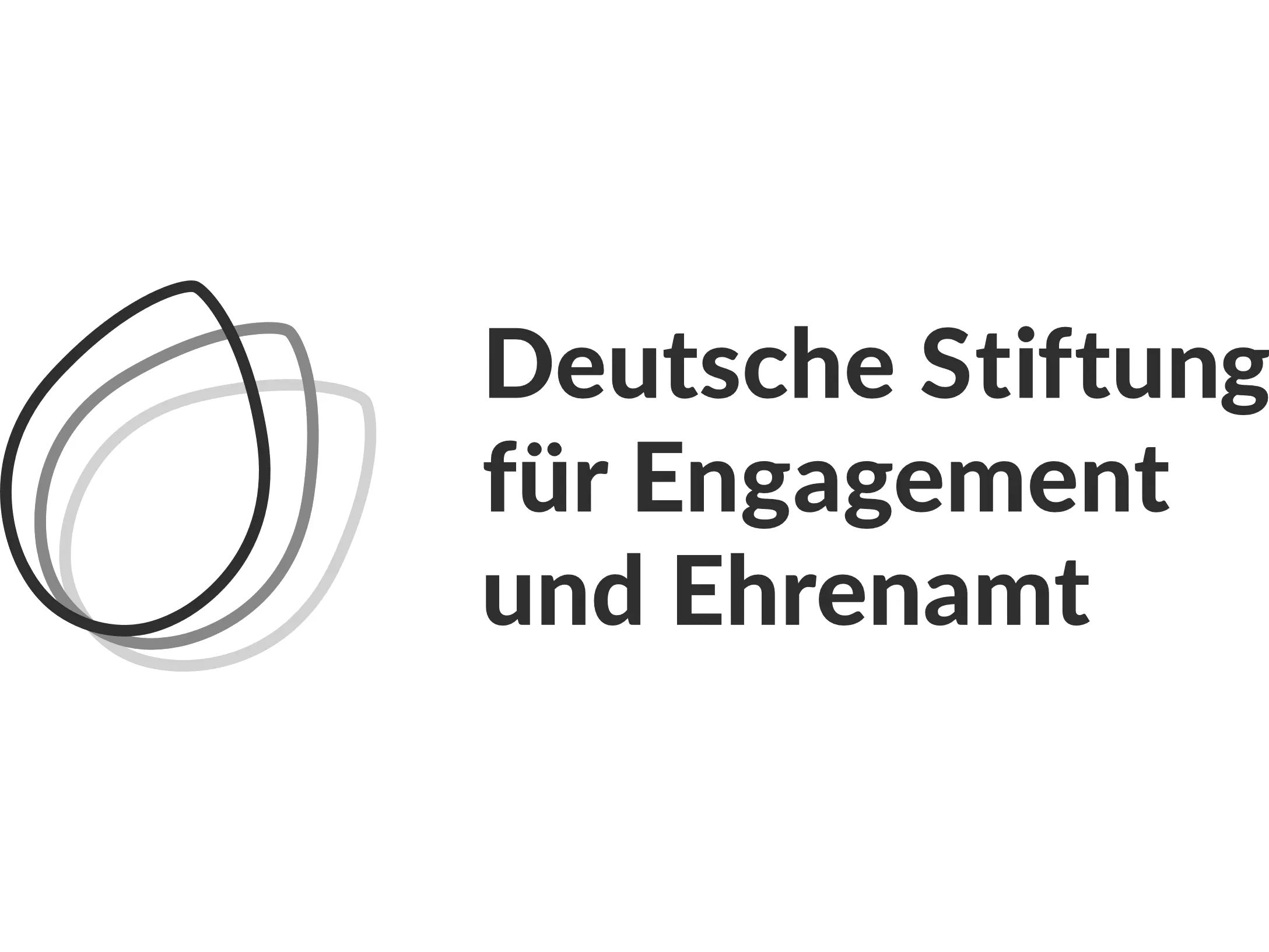 Logo der Deutschen Stiftung für Engagment und Ehrenamt