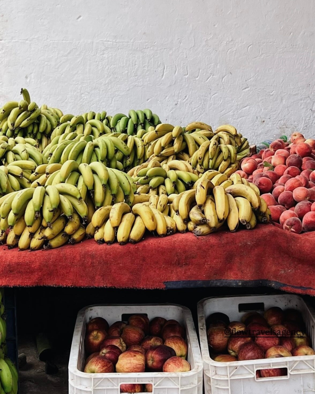 À la découverte des marchés locaux