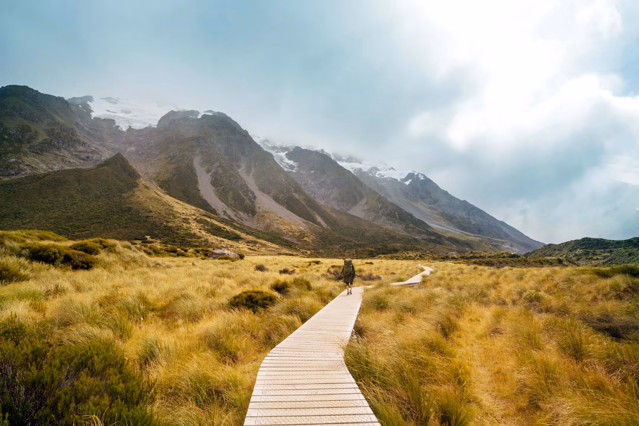 New Zealand beach landscape