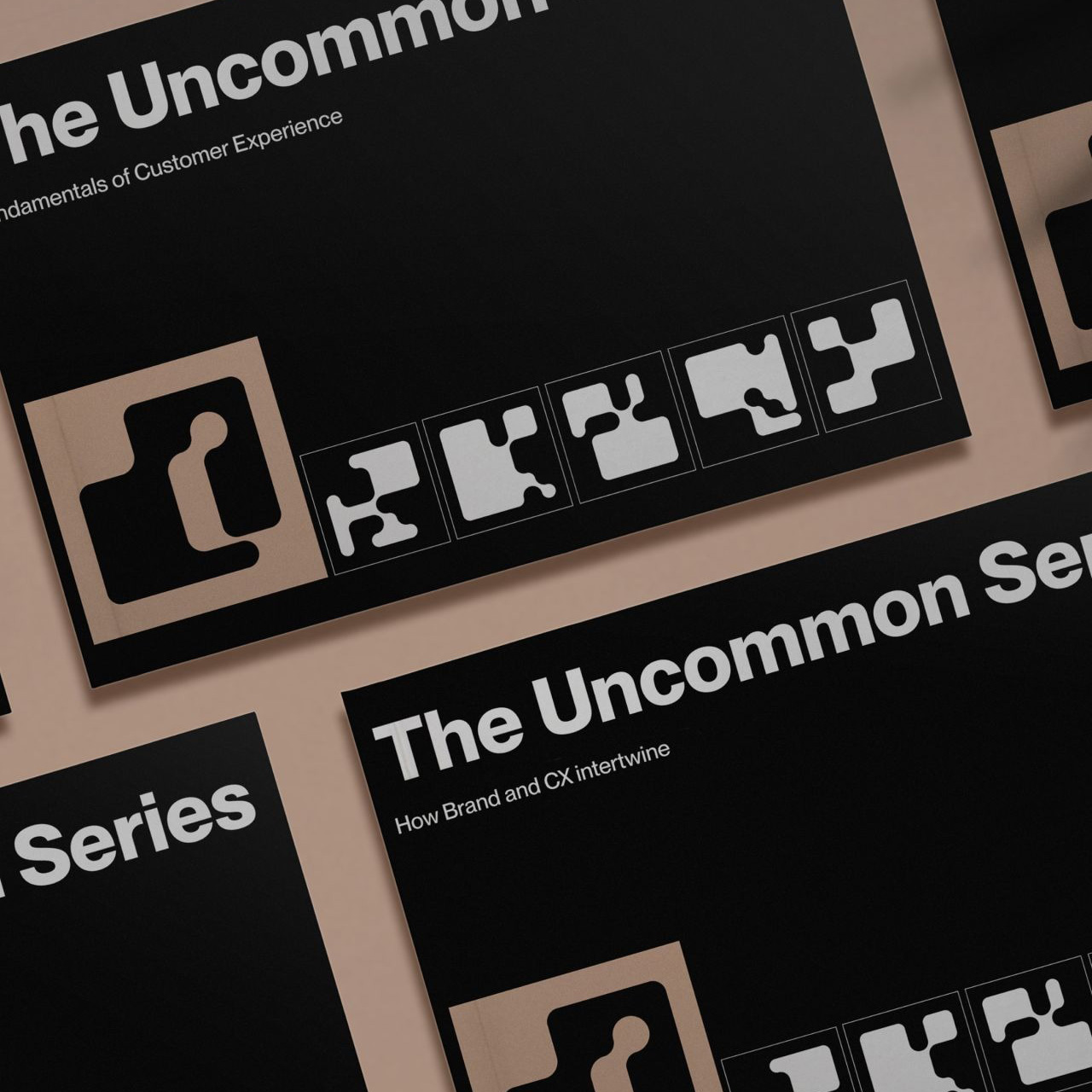 Image of the uncommon series booklets