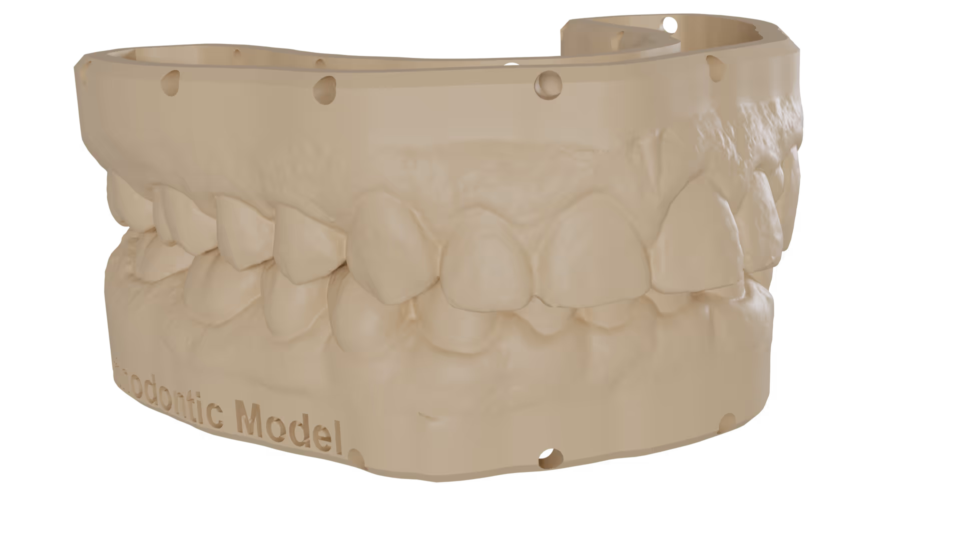 Dental model builder