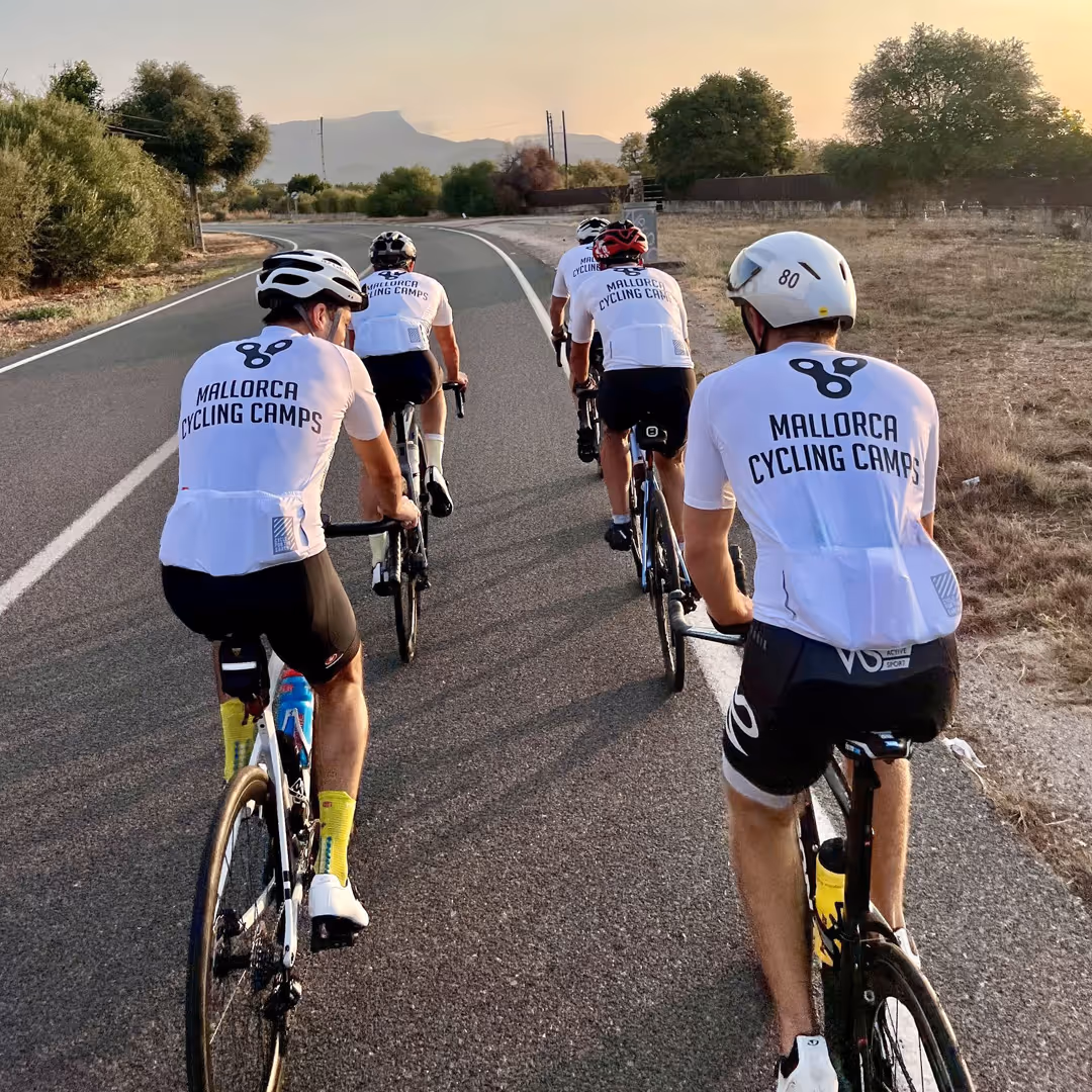 velocamp jerseys