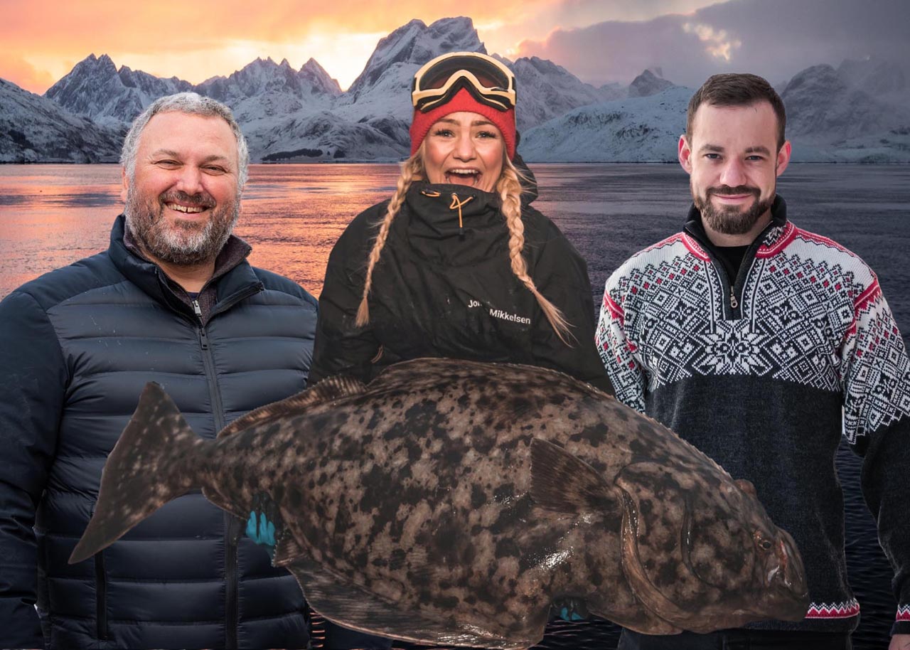 Lofoten Havfiske ansatte poserer med stor kveite foran en spektakulær solnedgang og fjell i Henningsvær.