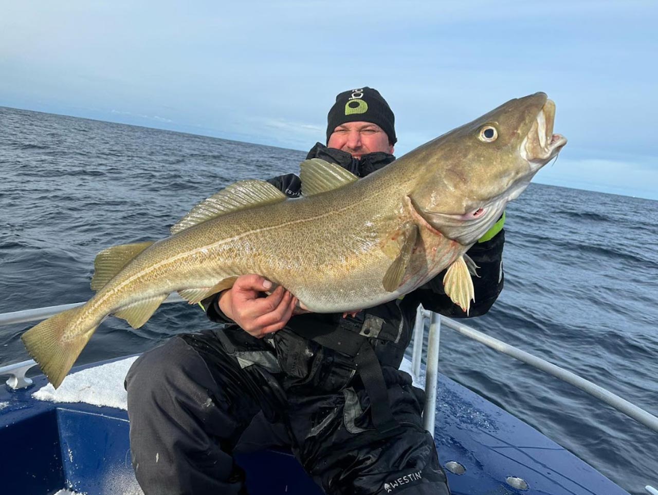 Angler proudly holding a large Atlantic cod onboard a boat during a guided cod fishing trip in Lofoten.