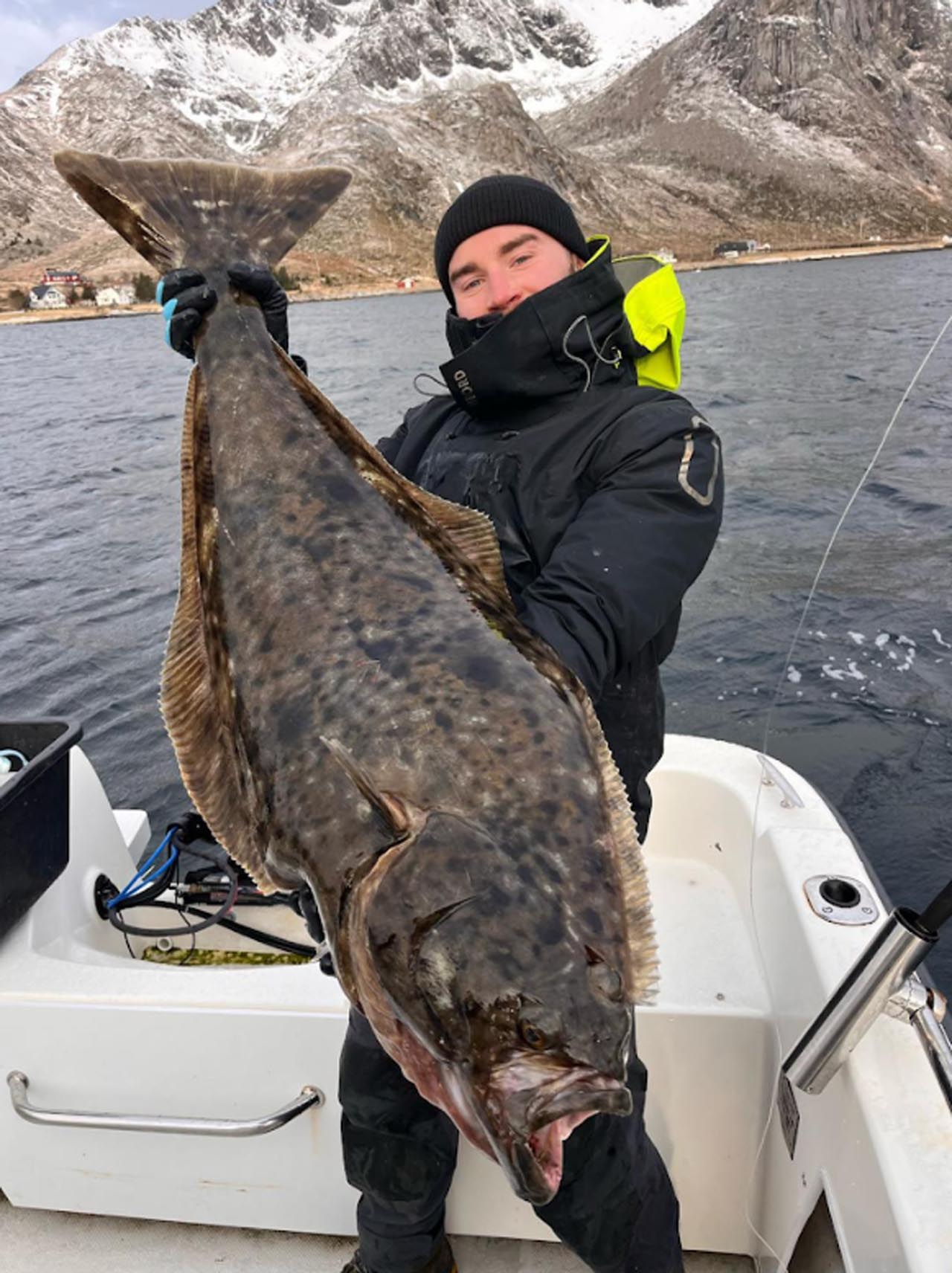 Fisherman holding a large halibut on a boat in Lofoten during a cod and halibut fishing trip.