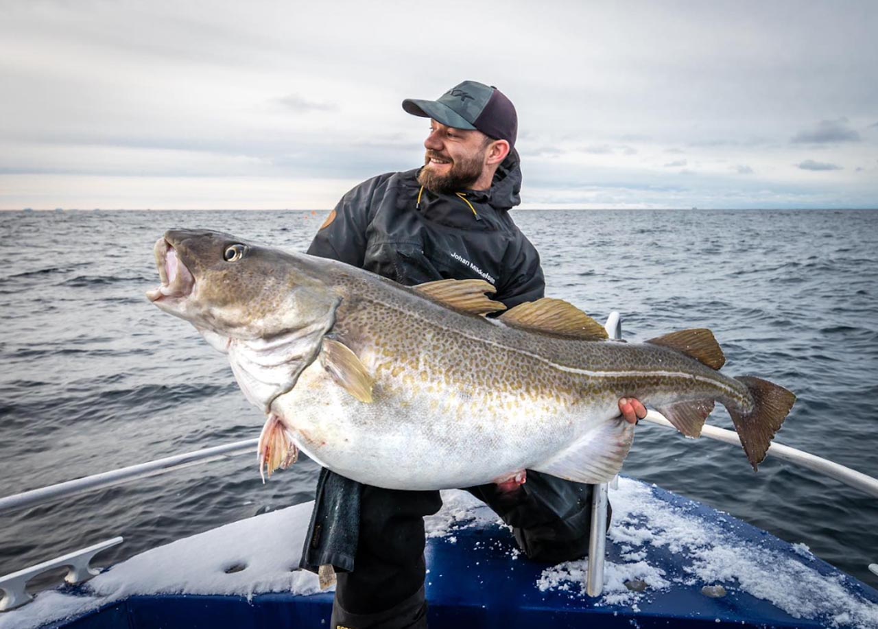 Smiling angler holding a large cod caught during a winter fishing trip in Lofoten, Norway.