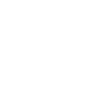 Scale