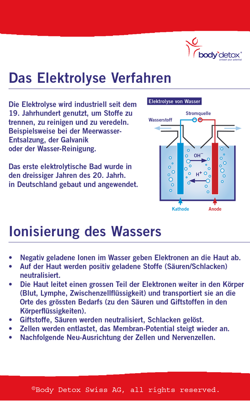 Seite 3 der Body Detox Broschüre