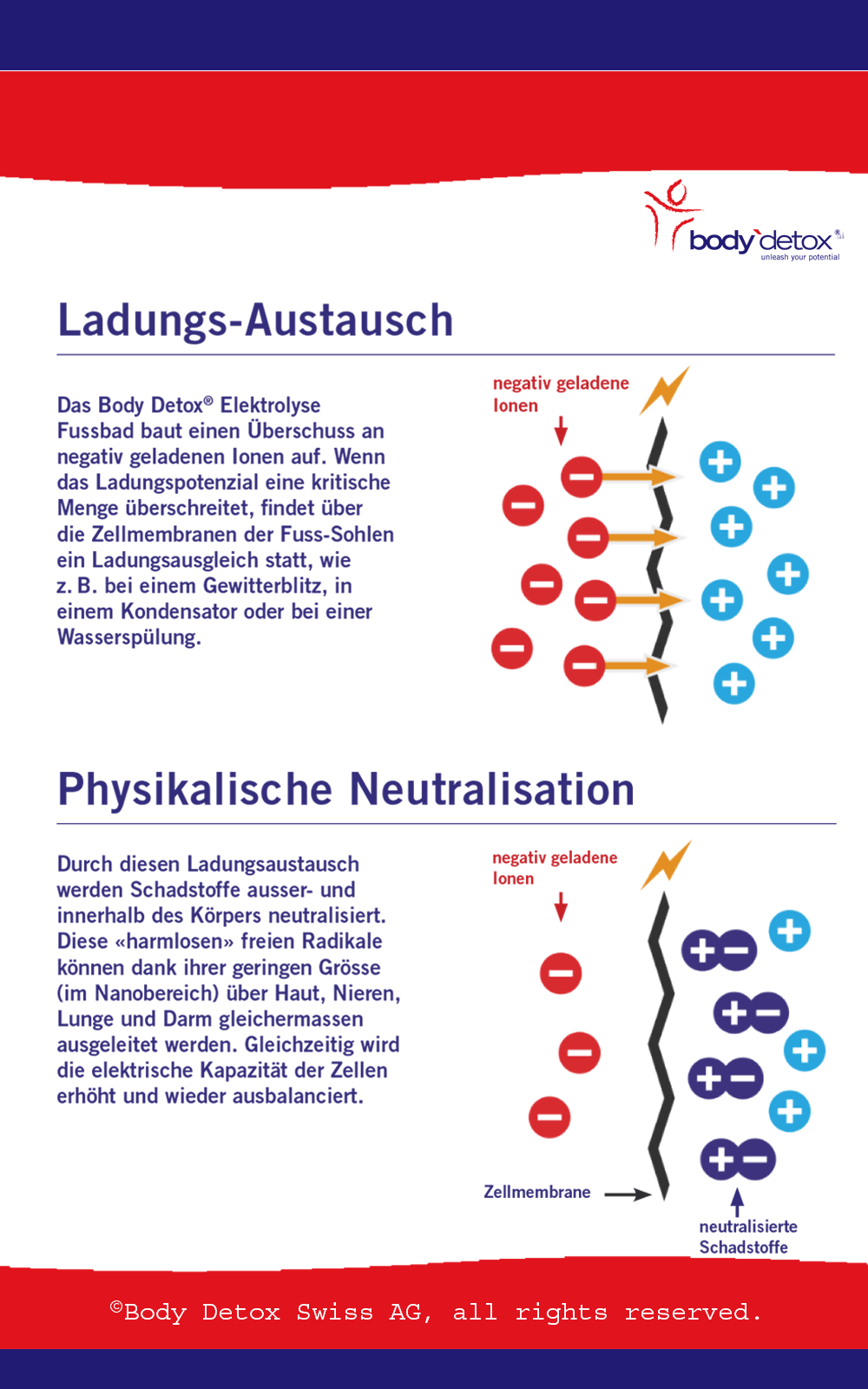 Seite 5 der Body Detox Broschüre