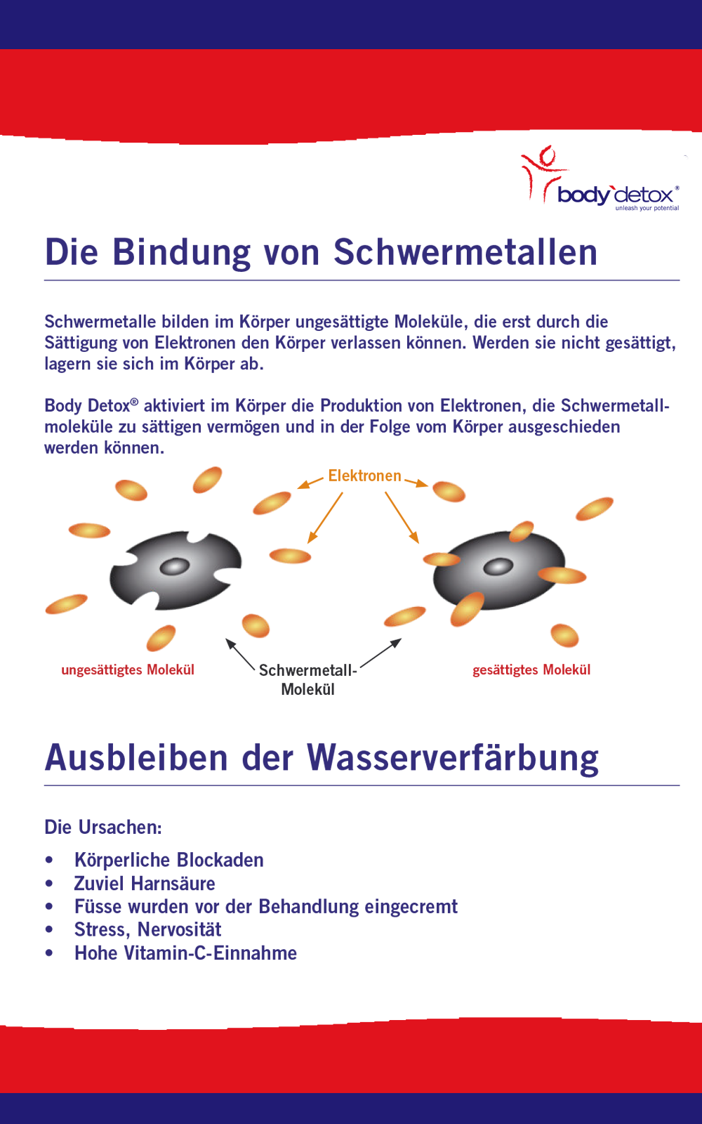 Seite 7 der Body Detox Broschüre