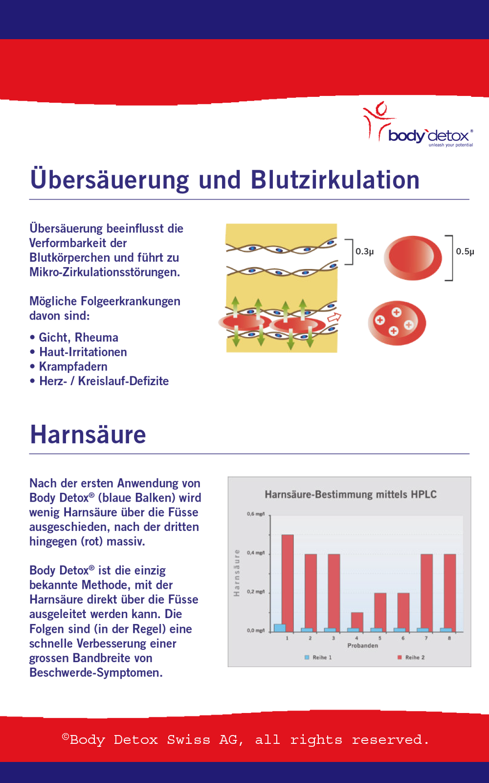 Seite 8 der Body Detox Broschüre