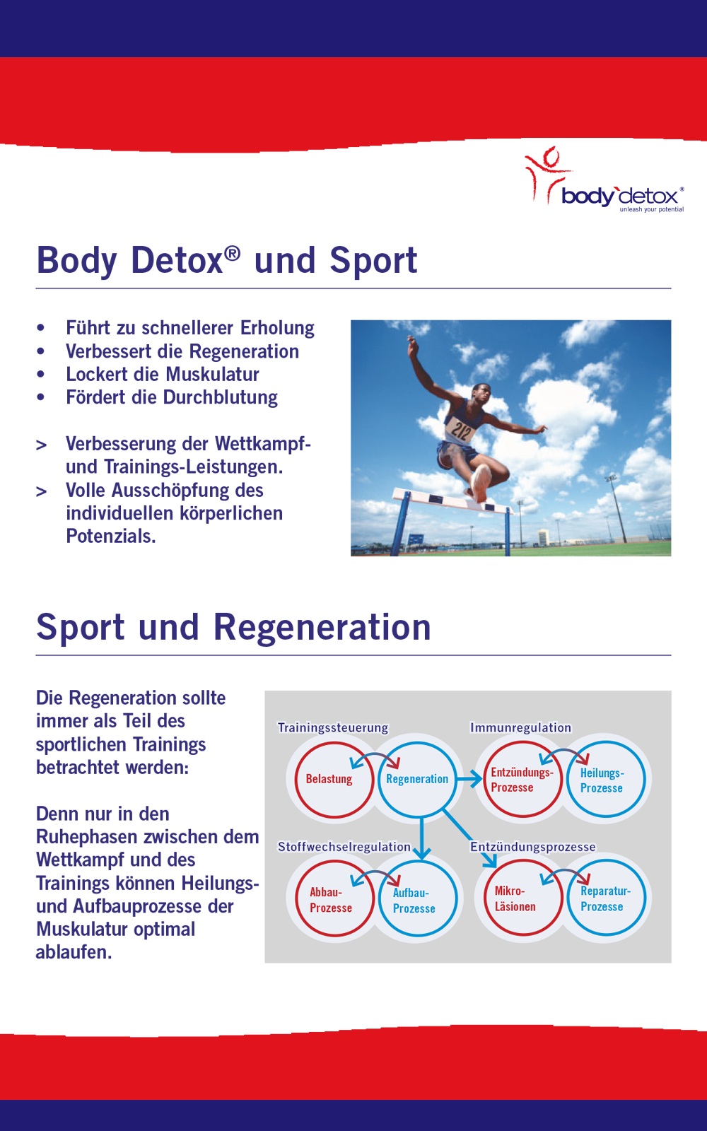 Seite 9 der Body Detox Broschüre