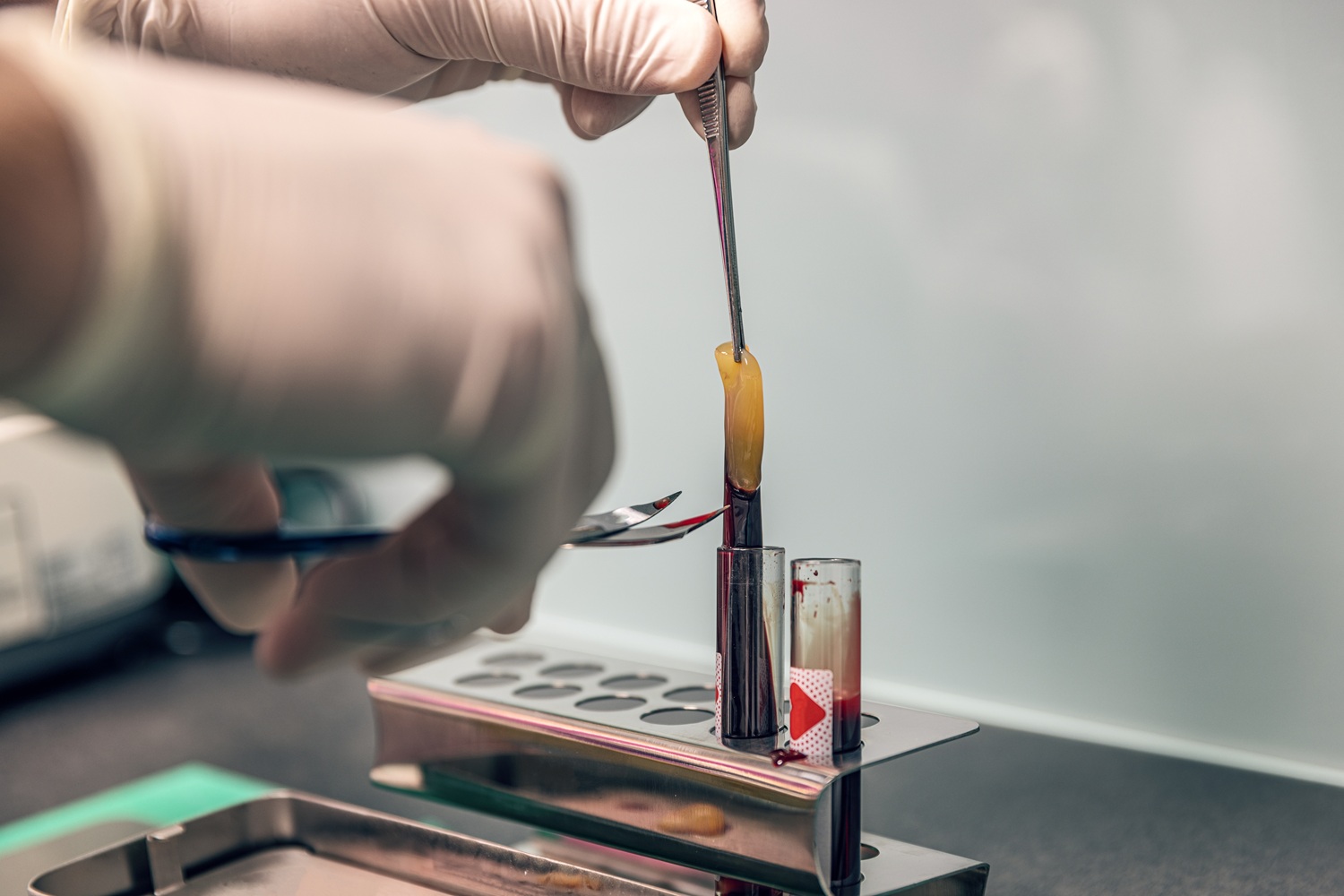 tooth and mirror tool