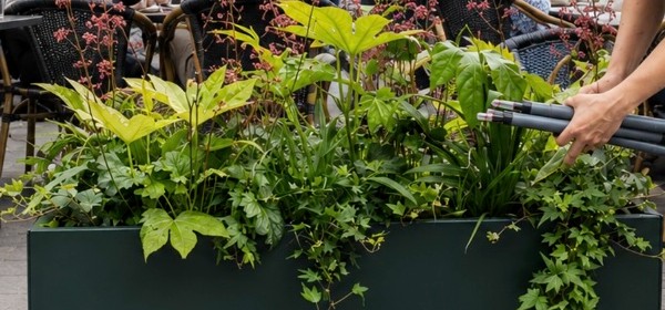 Close-up van weelderige seizoensbeplanting in een terrasplantenbak