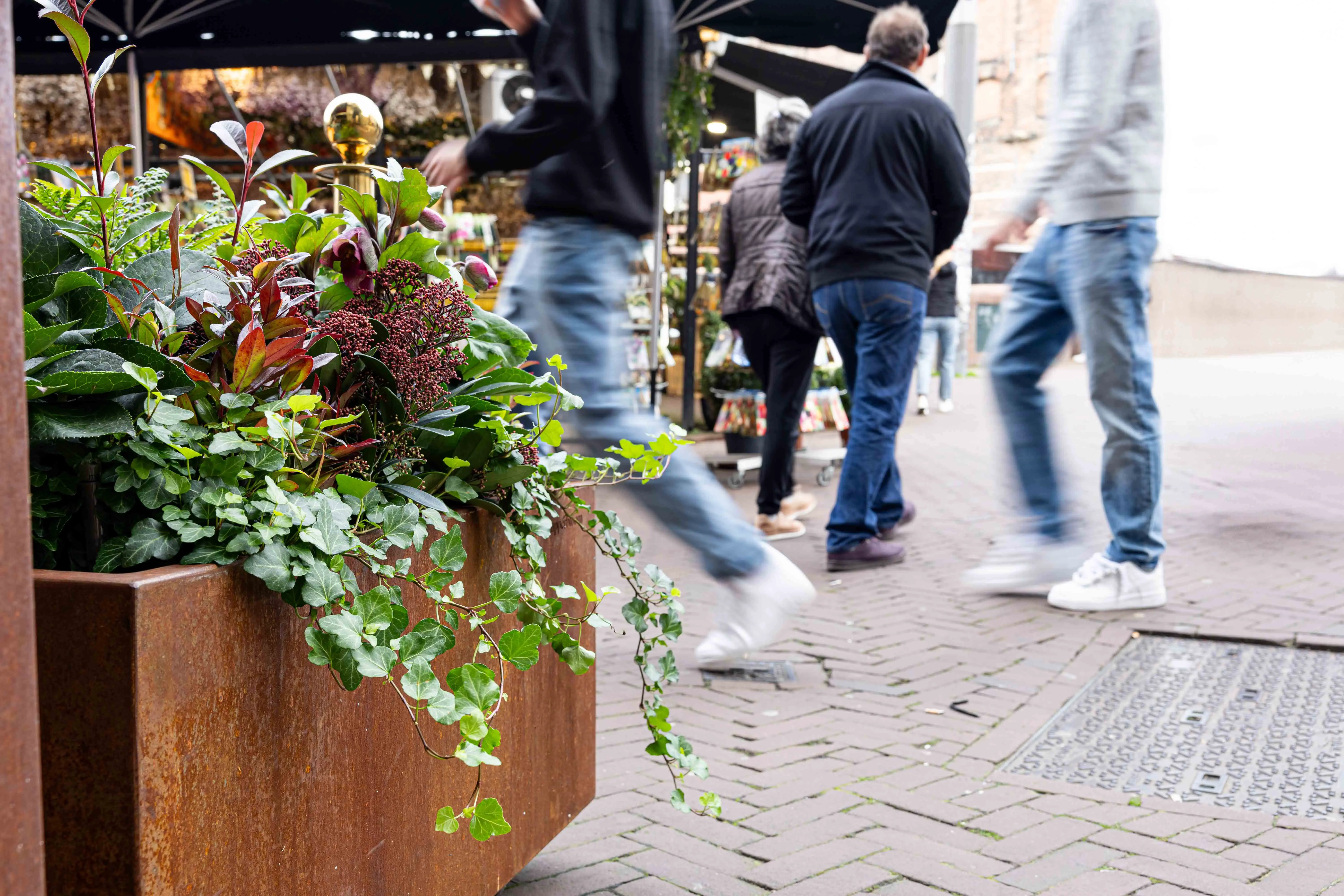 __wf_reserved_inherit