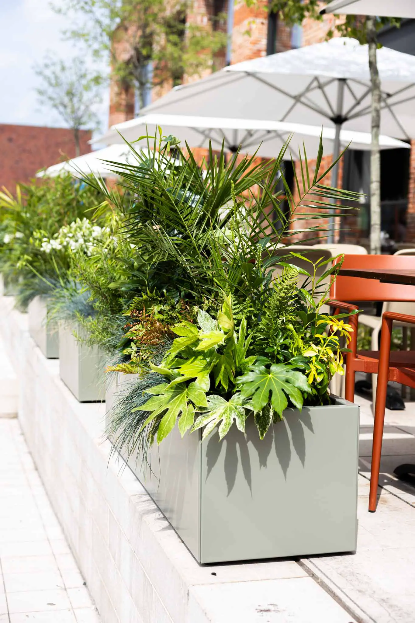 __wf_reserved_inherit