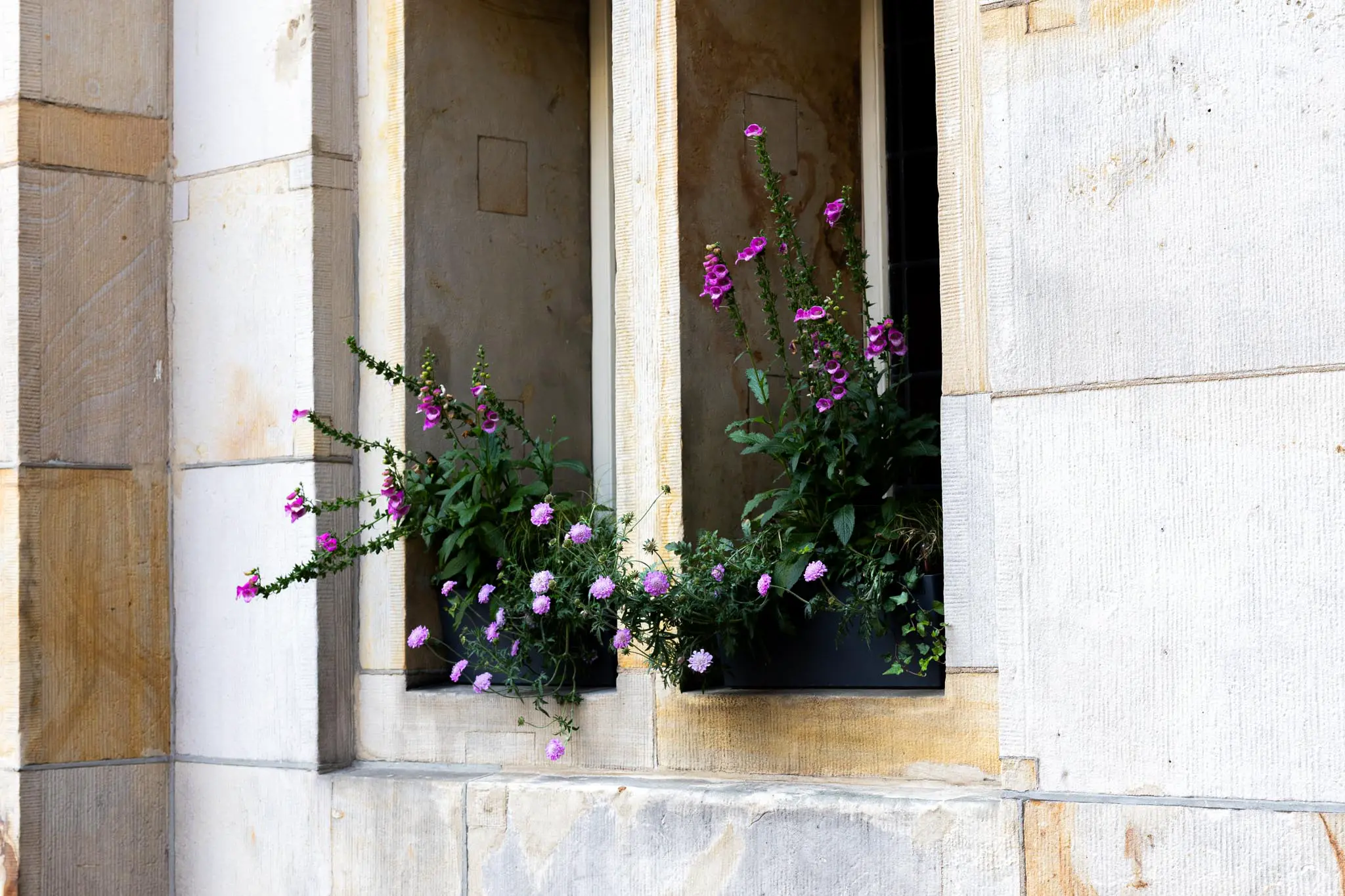 __wf_reserved_inherit