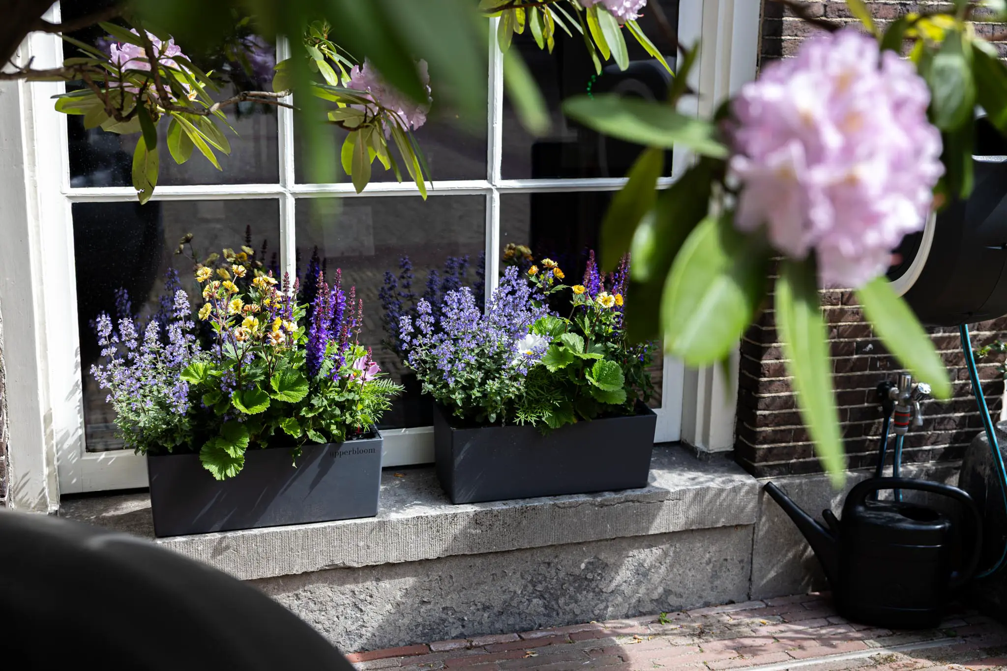 __wf_reserved_inherit