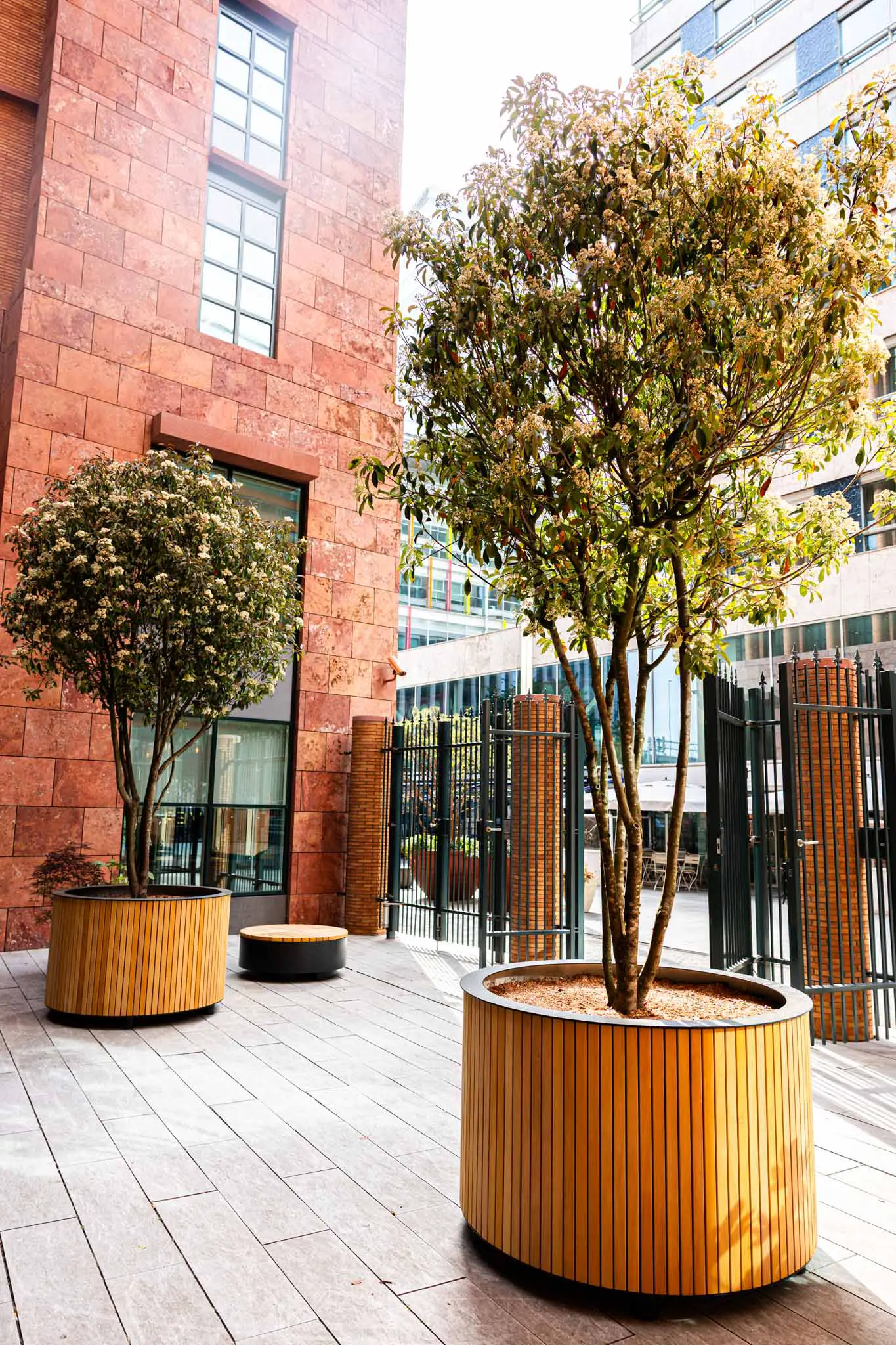 __wf_reserved_inherit