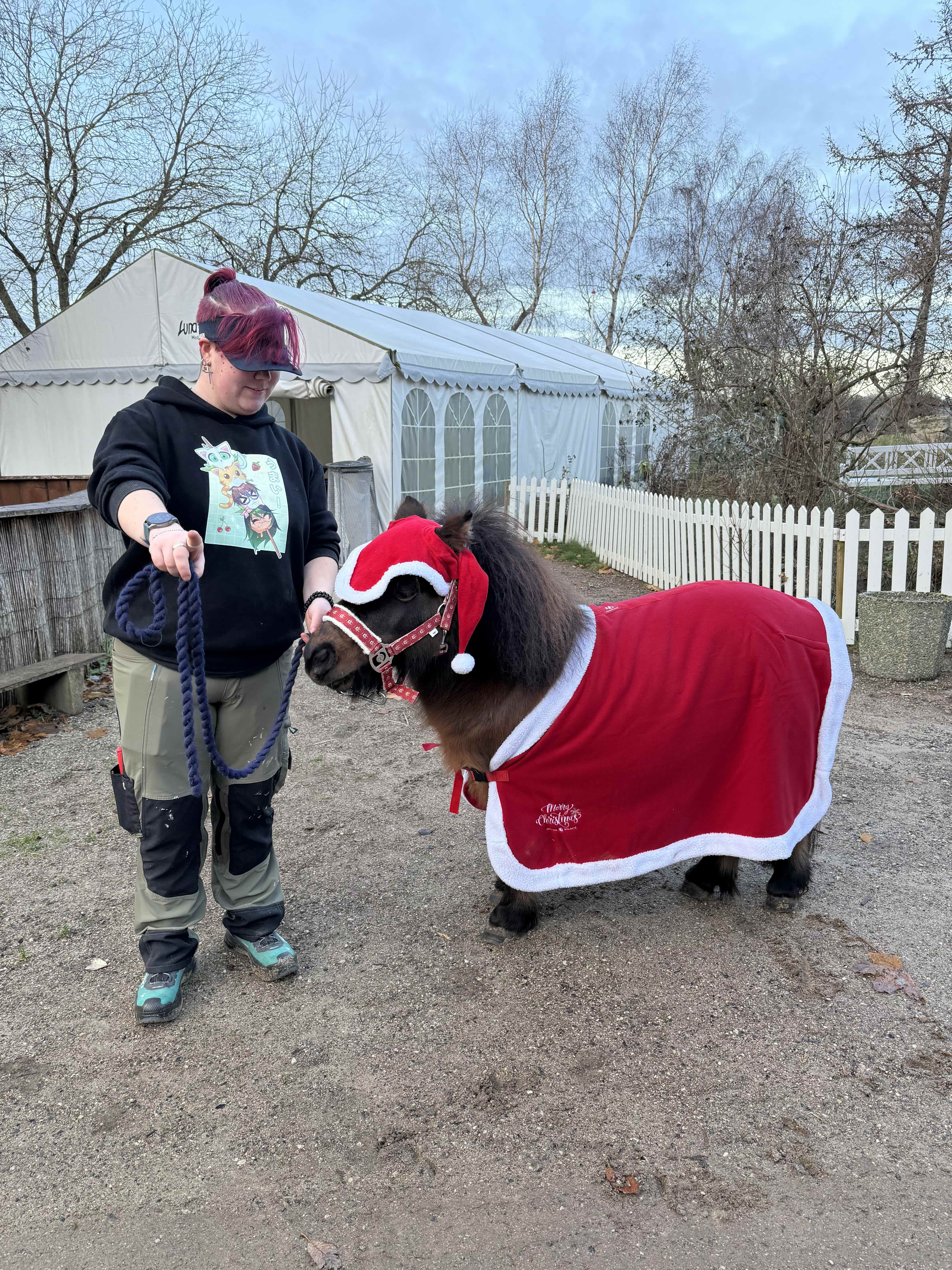 Julen 2025 i Munkholm Zoo