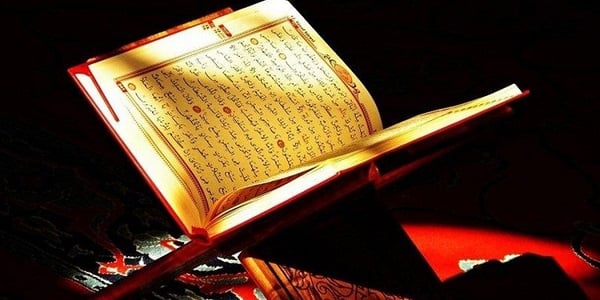 Münafıkun Suresi Ne Anlatıyor