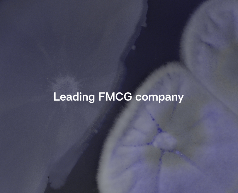 FMCG Company