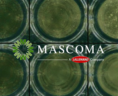 Mascoma, A Lallemand Company