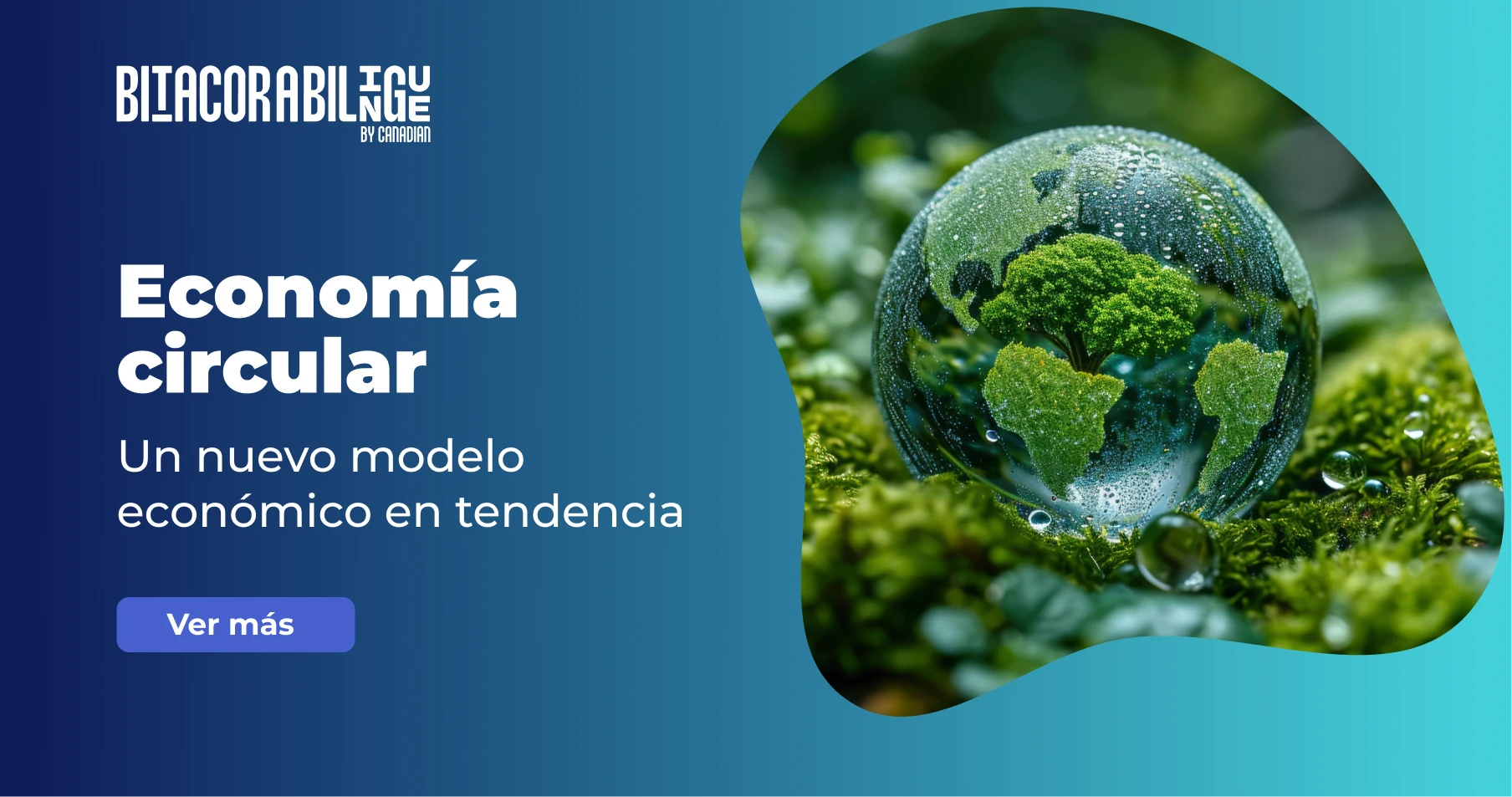 Economía circular: Un nuevo modelo económico en tendencia