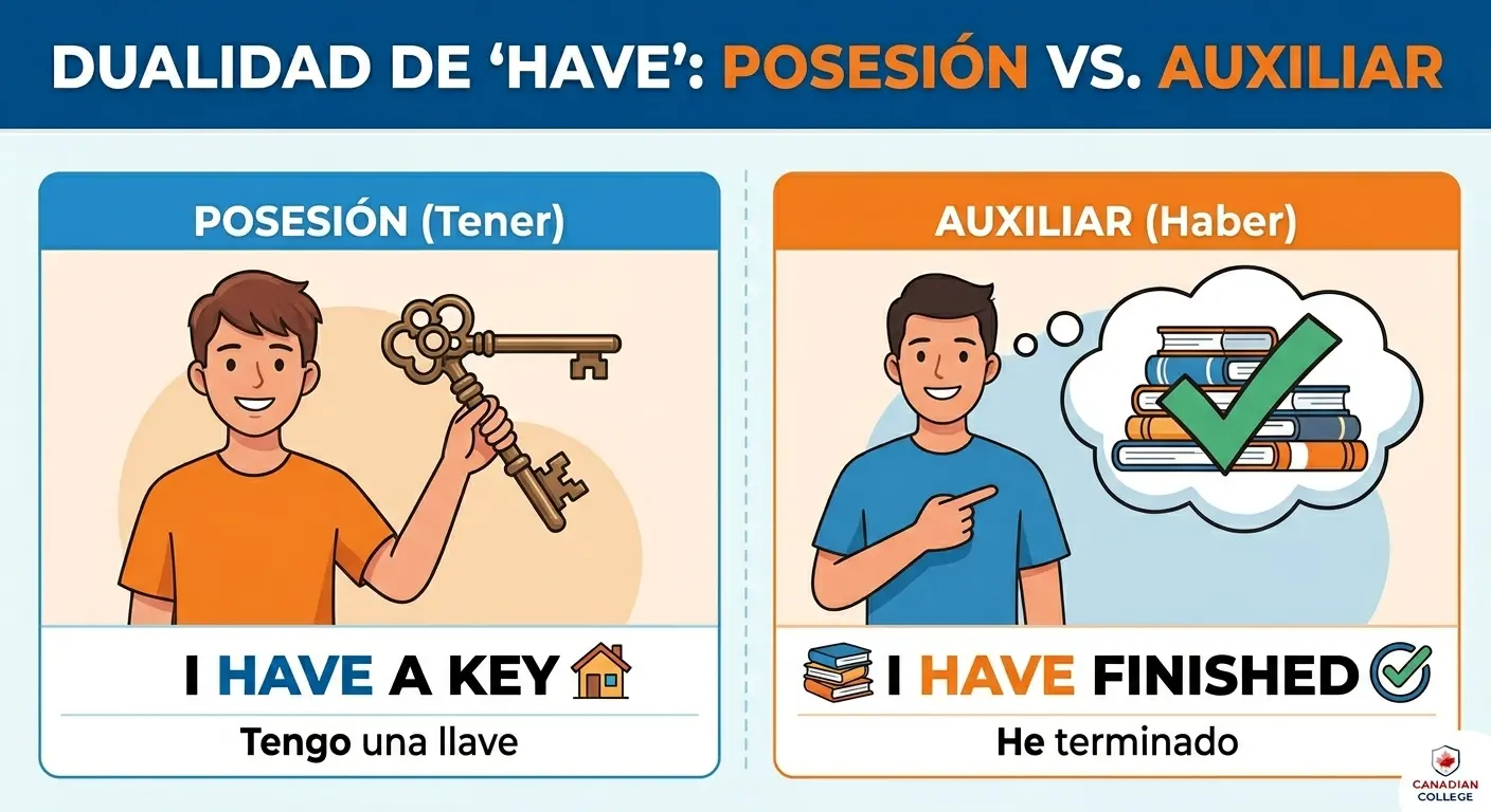 Infografía educativa de Canadian College titulada "DUALIDAD DE 'HAVE': POSESIÓN VS. AUXILIAR". Divide en dos secciones su significado: a la izquierda, "POSESIÓN (Tener)" con la frase "I HAVE A KEY" (Tengo una llave) junto a un joven sosteniendo una llave; a la derecha, "AUXILIAR (Haber)" con la frase "I HAVE FINISHED" (He terminado) al lado de un joven pensando en una pila de libros completada.