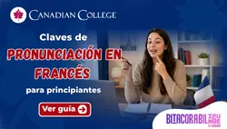 como pronunciar en frances guia de fonetica y tecnicas de estudio online