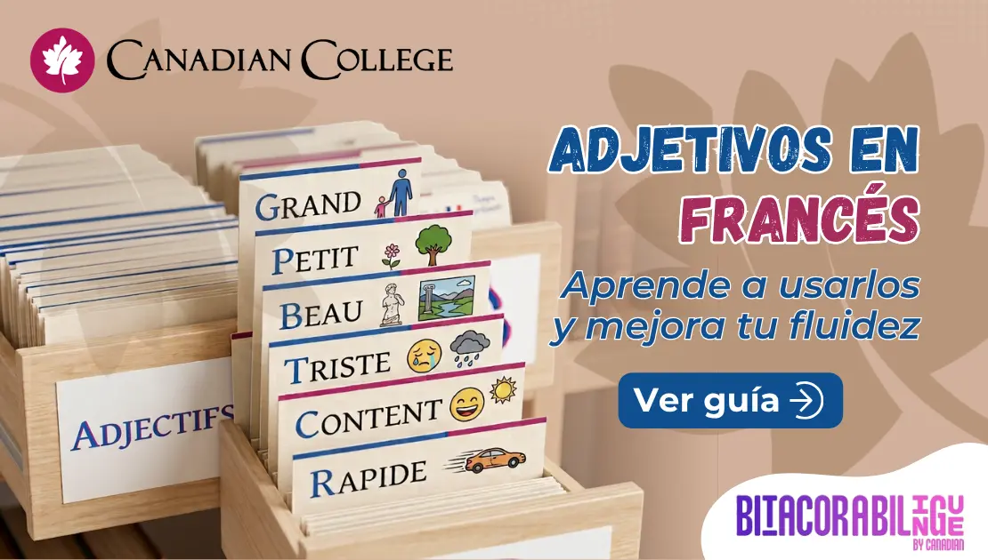 Banner con un fichero con tarjetas de adjetivos en francés como Grand y Petit junto al texto "ADJETIVOS EN FRANCÉS Aprende a usarlos."