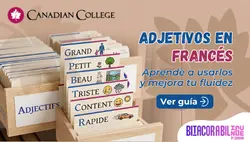 Banner con un fichero con tarjetas de adjetivos en francés como Grand y Petit junto al texto "ADJETIVOS EN FRANCÉS Aprende a usarlos."