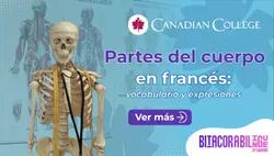 Banner con un modelo de esqueleto humano con estetoscopio junto al texto "Partes del cuerpo en francés: vocabulario y expresiones" en morado.
