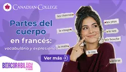 Banner con un modelo de esqueleto humano con estetoscopio junto al texto "Partes del cuerpo en francés: vocabulario y expresiones" en morado.