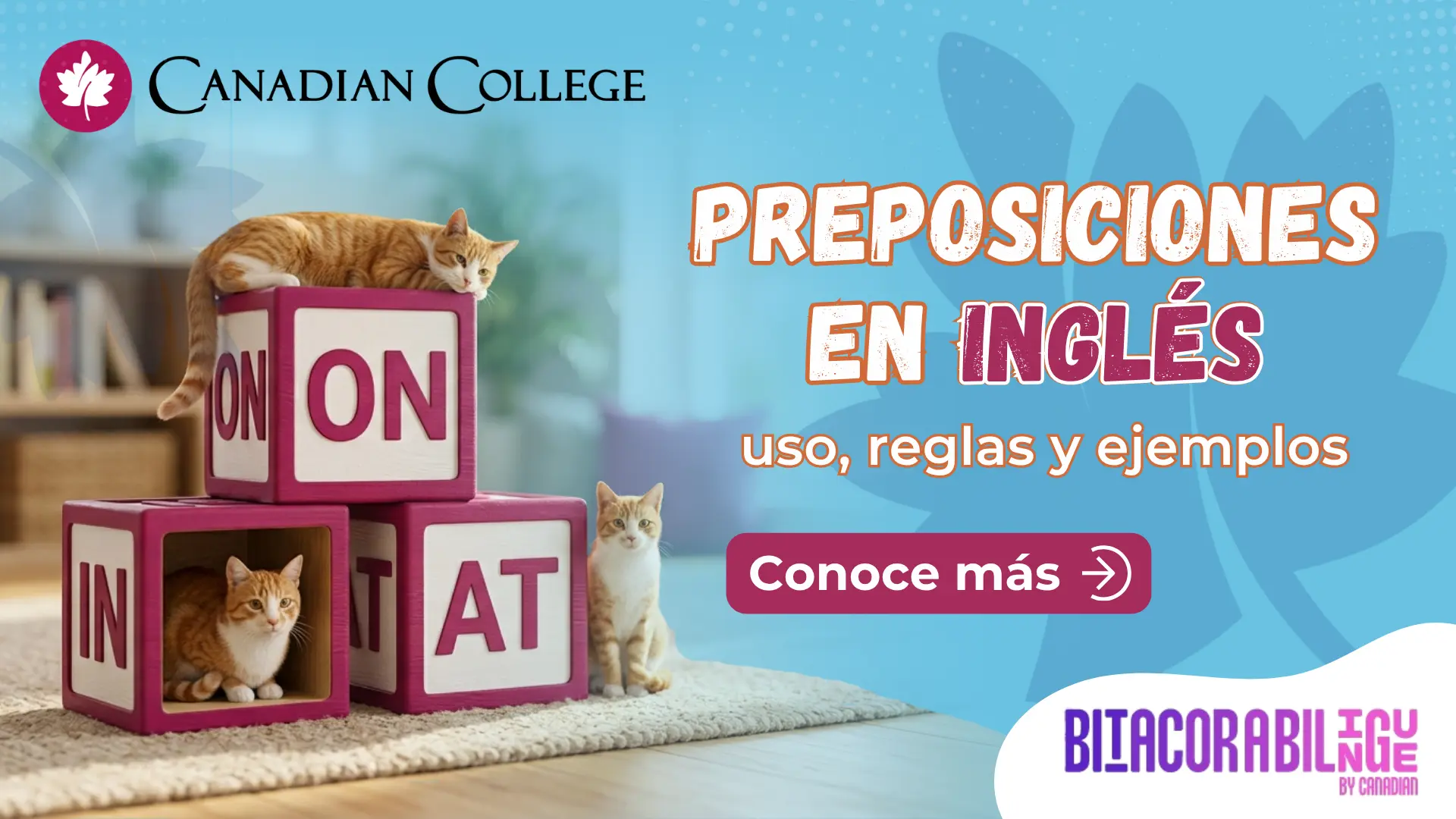 Banner con el texto "PREPOSICIONES EN INGLÉS: uso, reglas y ejemplos" y una ilustración de gatos interactuando con cubos marcados con IN, ON y AT