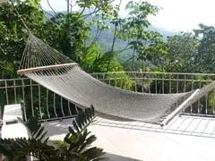 The Perils and Pitfalls of Renting from a Distance