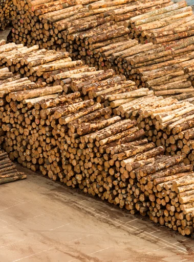 Enhanced export market access solutions