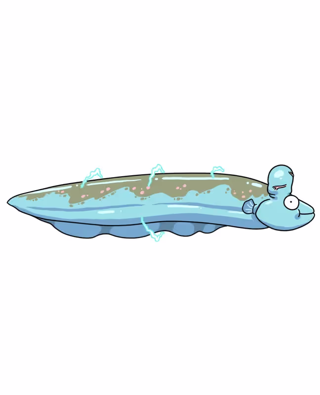 How Do Electric Eels Make Electricity? ⚡
