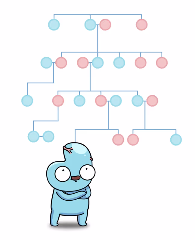 Are We All Related?