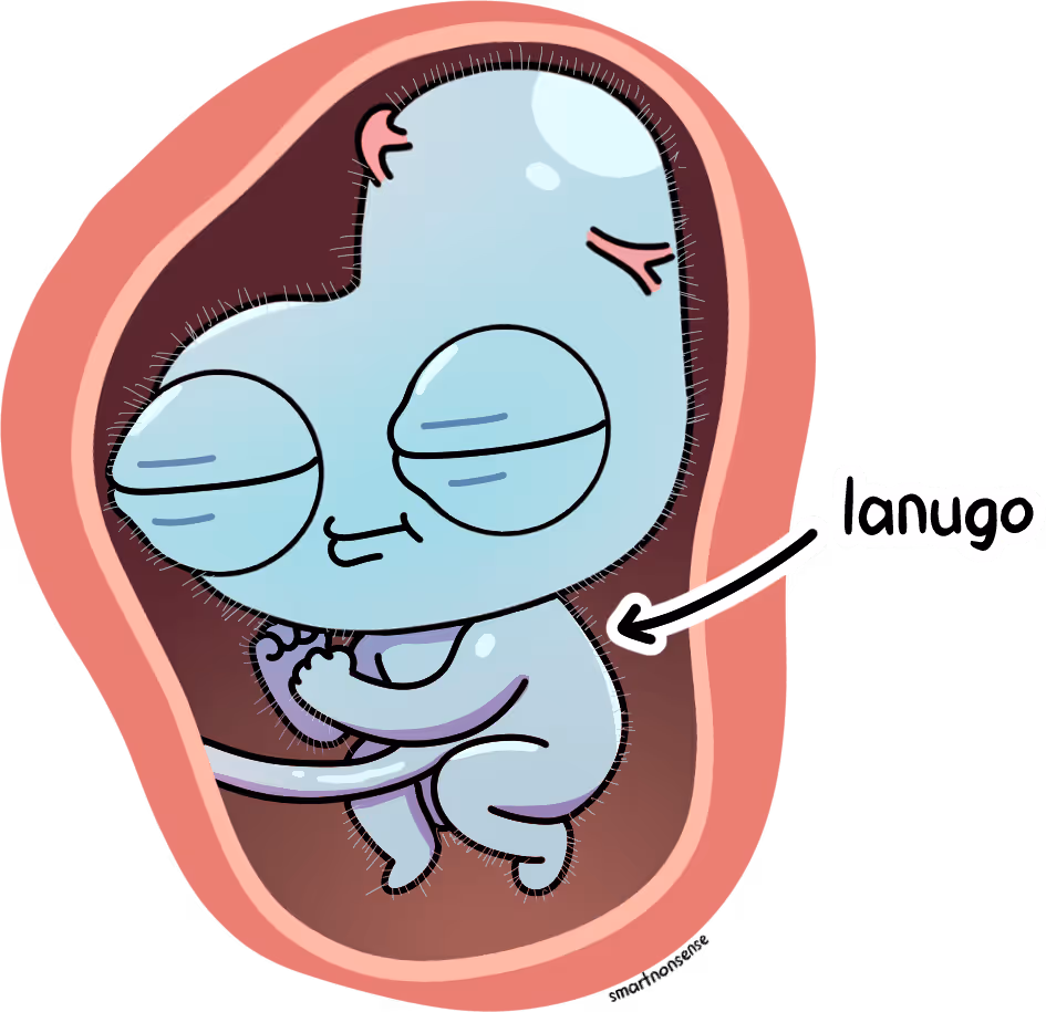 Derd in womb