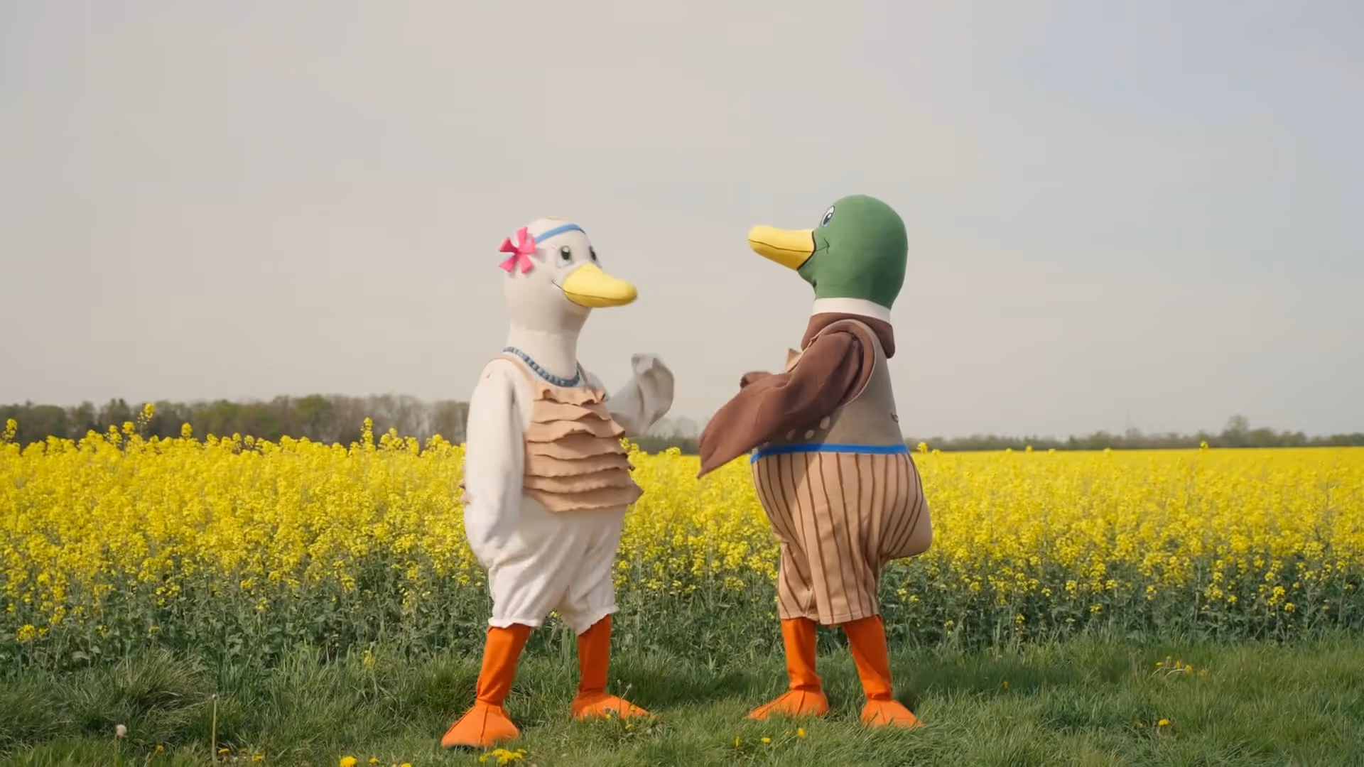 Zwei Menschen in Entenkostümen stehen auf einer Wiese vor einem gelben Rapsfeld und schauen sich an.