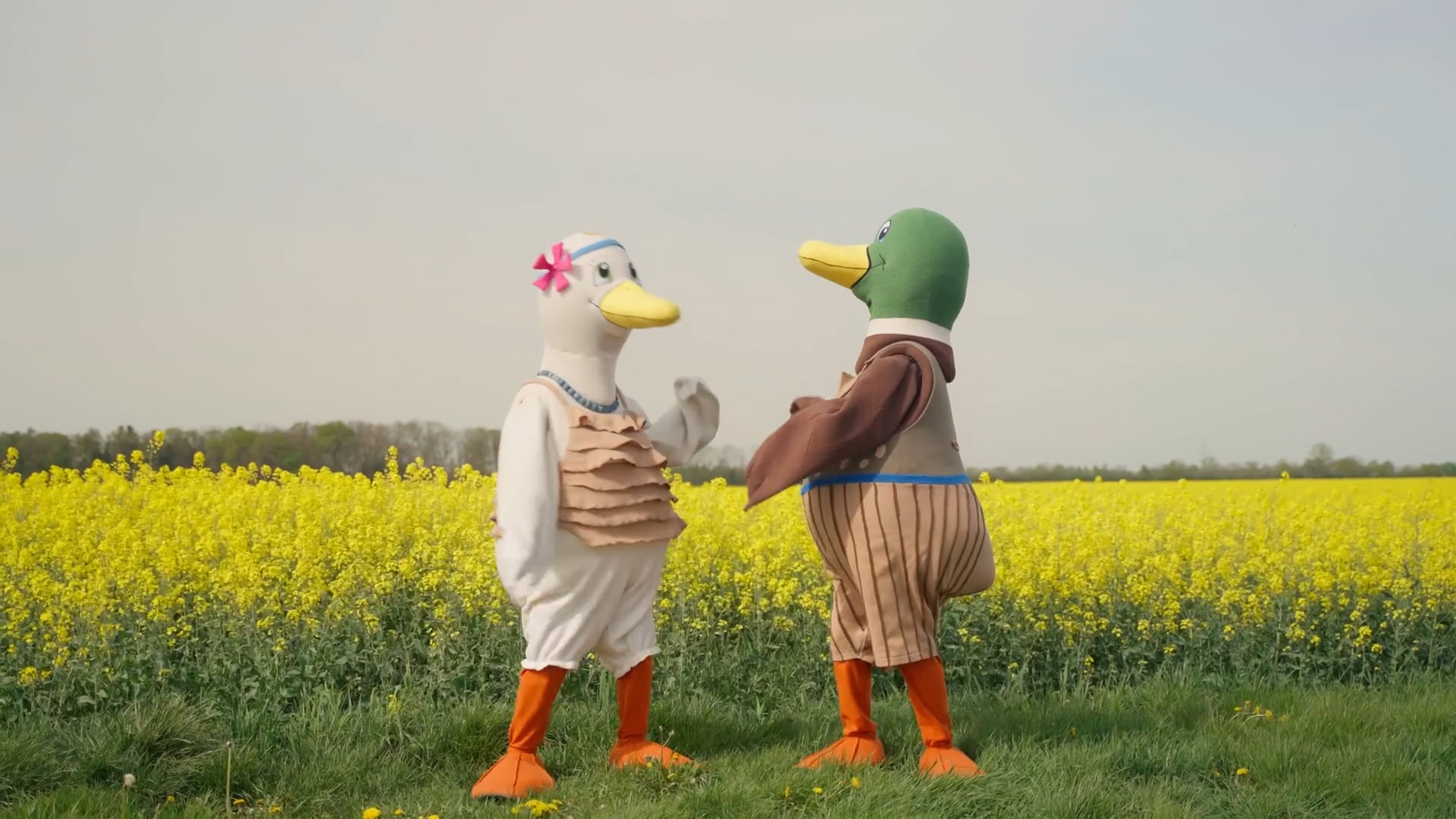 Zwei Menschen in Entenkostümen stehen auf einer Wiese vor einem gelben Rapsfeld und schauen sich an.