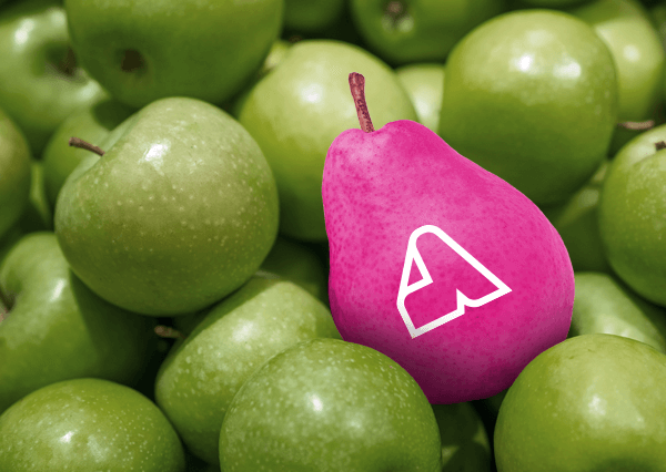 magenta Ambasco design peer tussen de appels