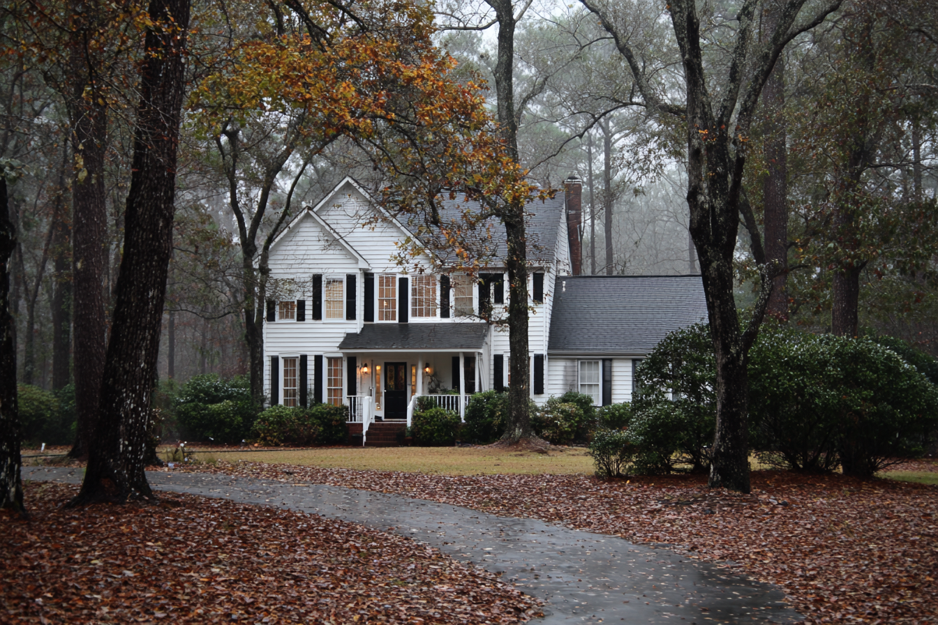 Is Your Tree a Liability? Recognizing Georgia's Storm Damage Prone Species