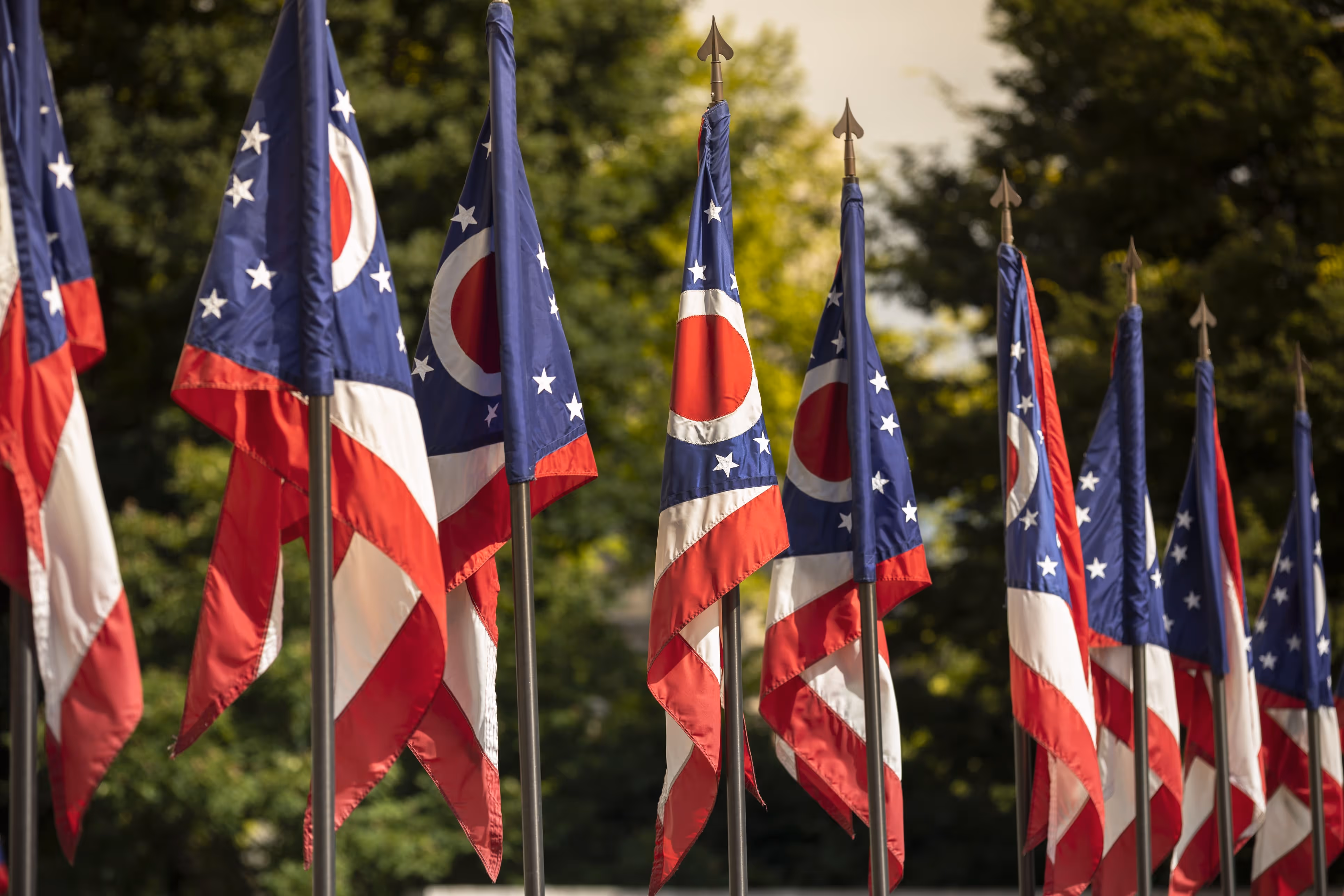Several Ohio state flags in a row