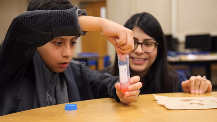 Calculus Roundtable: Giving mentors the tools they need to bridge the K-12 STEM gap