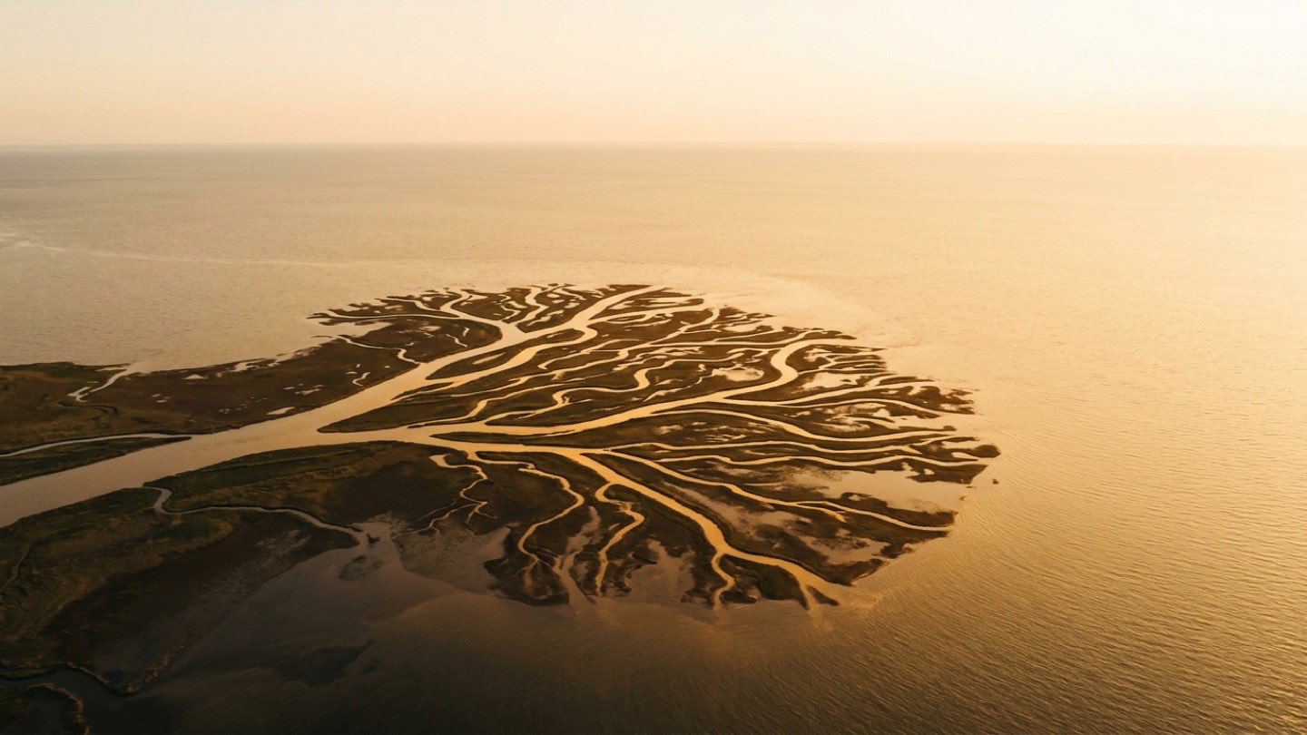 Aerial view of a river delta forming branching fractal feedback patterns in golden hour light, representing self-improving AI learning loops