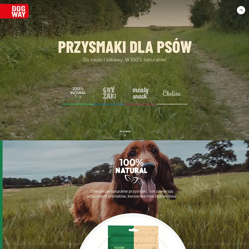 DogWay - Webflow product website